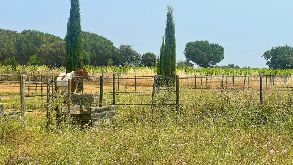 à vendre  Maison Béziers (34500)