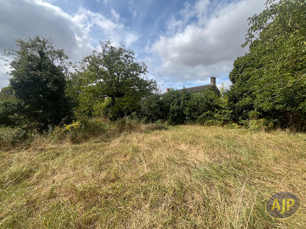 Vente Terrain Terrain à bâtir sur Nalliers de 585m² Nalliers