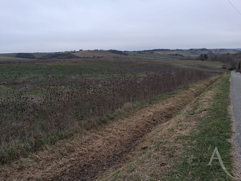 Vente Terrain Terrain  6000 m2 constructible en zone artisanale Le faget