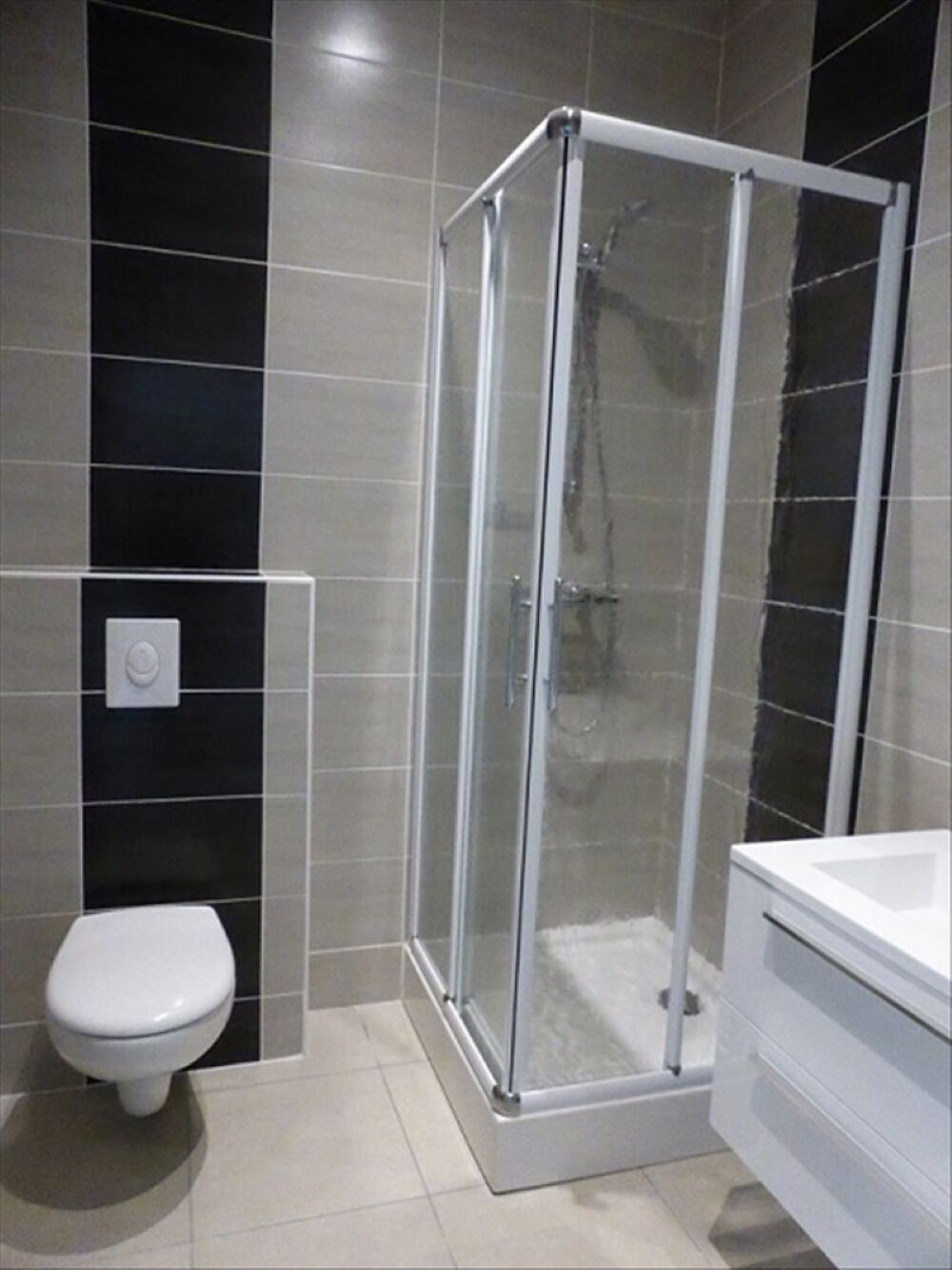 STUDIO NEUF CUIS EQUIPEE ESPALY ST MARCEL - 1 pièce(s) - 28 m2