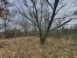  Terrain � vendre 14648 m�