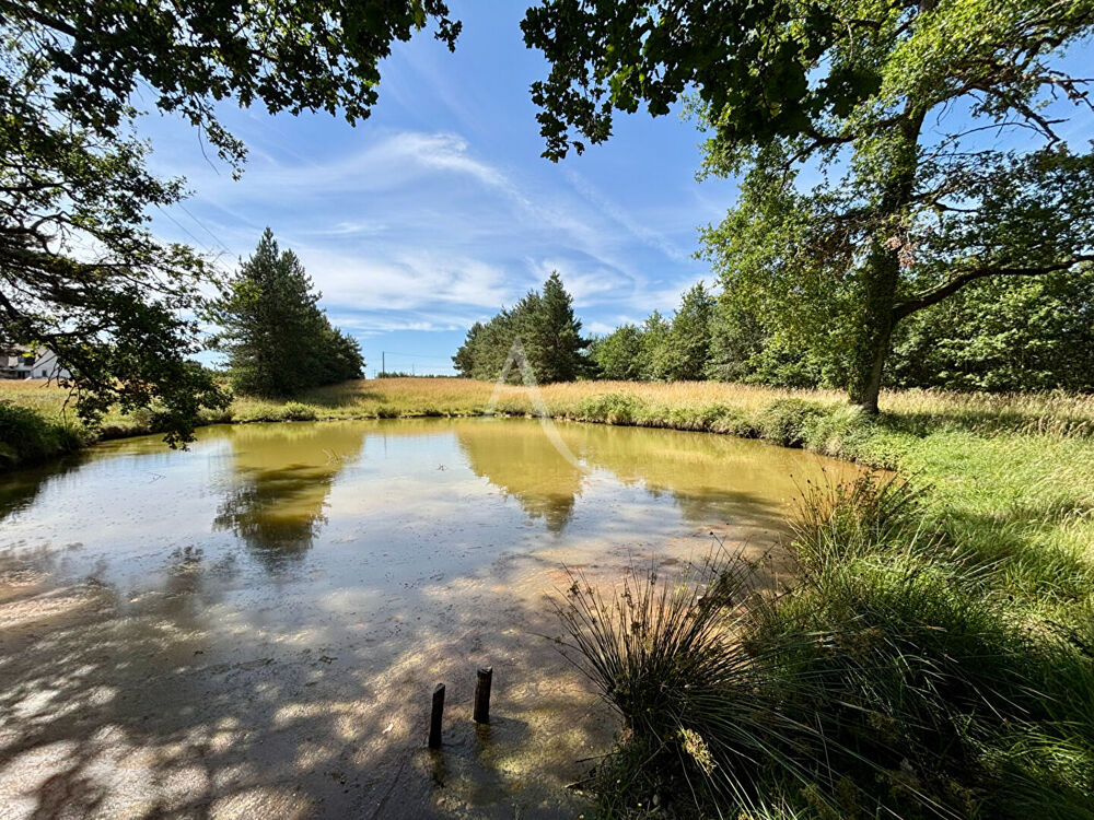 Vente Terrain Terrain de loisirs Chemery Chemery