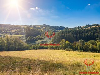  Terrain à vendre 10050 m²