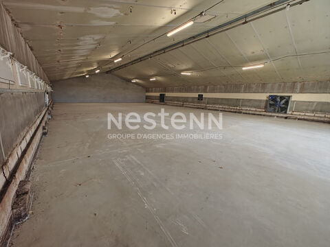 &Agrave; vendre.  Ensemble de 4 cellules d'activit&eacute;s;  2 000 m&sup2; sur terrain de 8 000 m&sup2; 424000 41330 Fosse