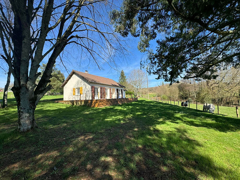 Haute Vienne - Pavillon Avec Vue Panoramique Exceptionnelle Et Jardin De 3078m².