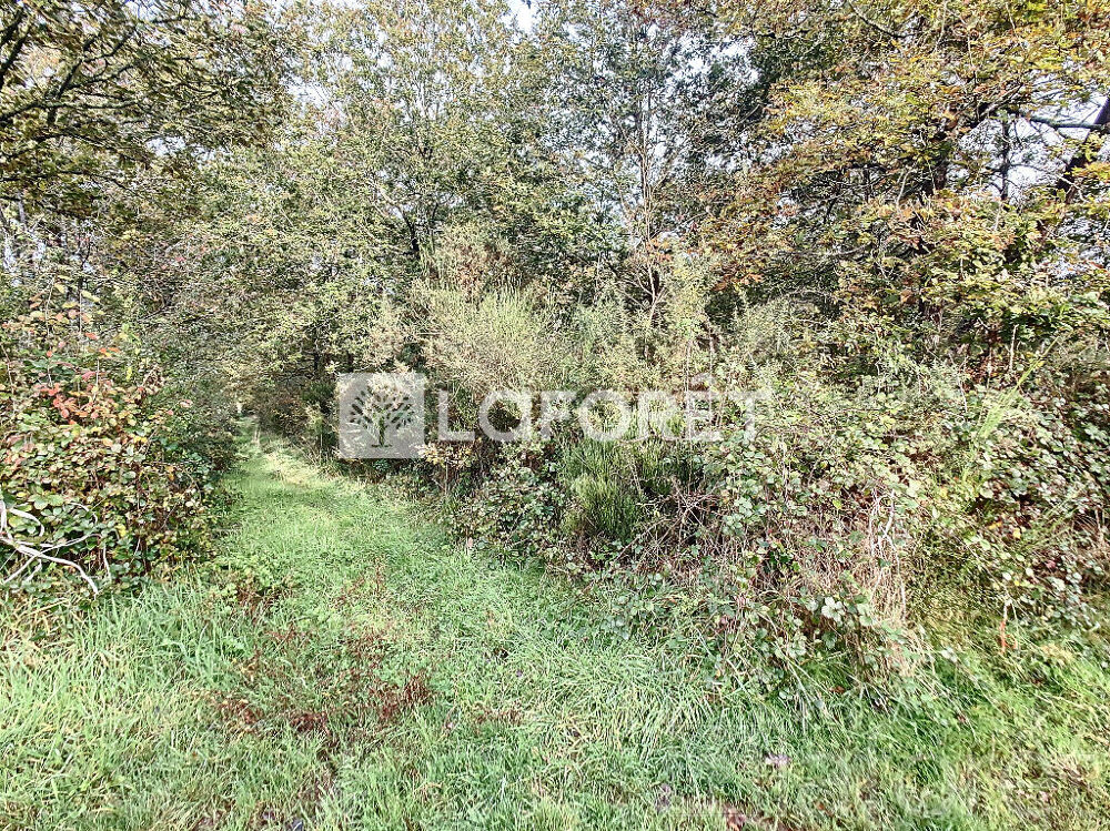 Vente Terrain Terrain Monteneuf 1550 m2 Monteneuf