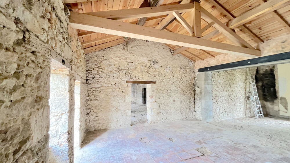 Vente Maison A VENDRE MAISON DE CARACTERE DE 350 M2 SUR 1950 M2 DE TERRAIN - SECTEUR BLAYE Blaye