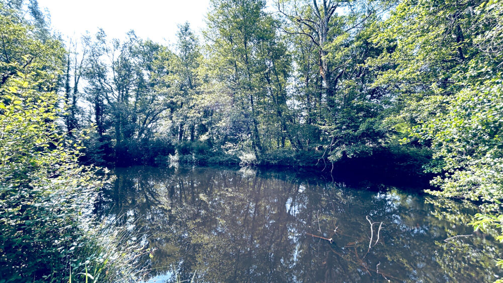 A VENDRE MAISON EN PIERRE AVEC TERRAIN ET ETANG - SECTEUR COUTRAS