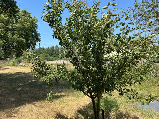  Terrain � vendre 