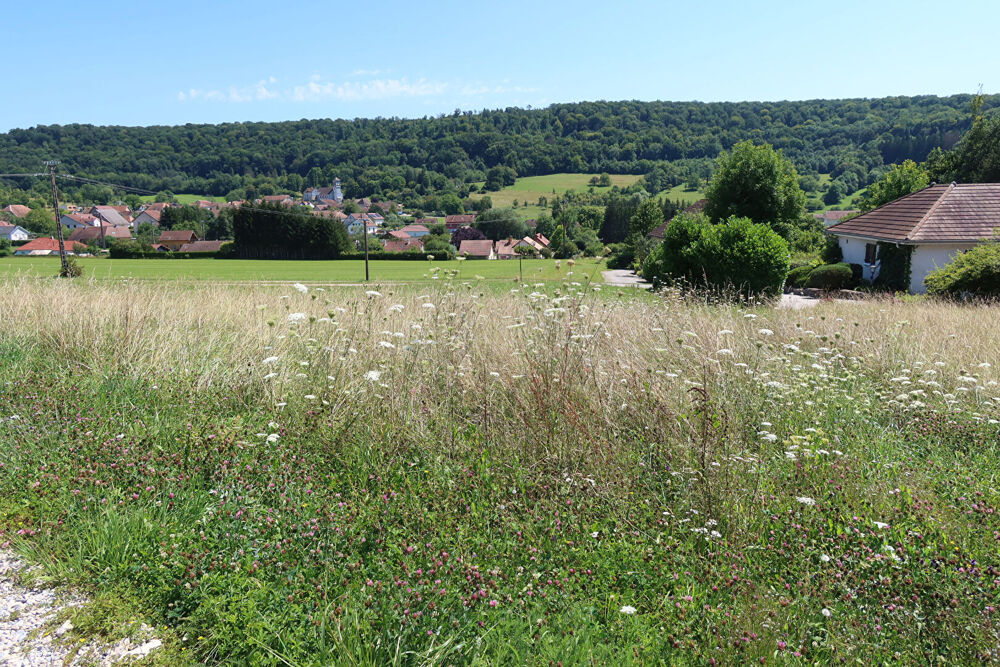 Vente Terrain terrain constructible viabilisé Rurey