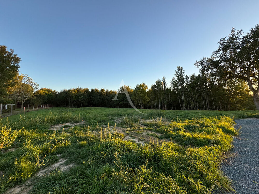 Vente Terrain Montans . Terrain de 600 m² constructible Montans