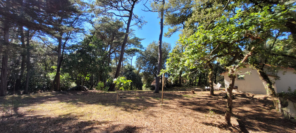 Vente Terrain ST BREVIN L'OCEAN St brevin les pins