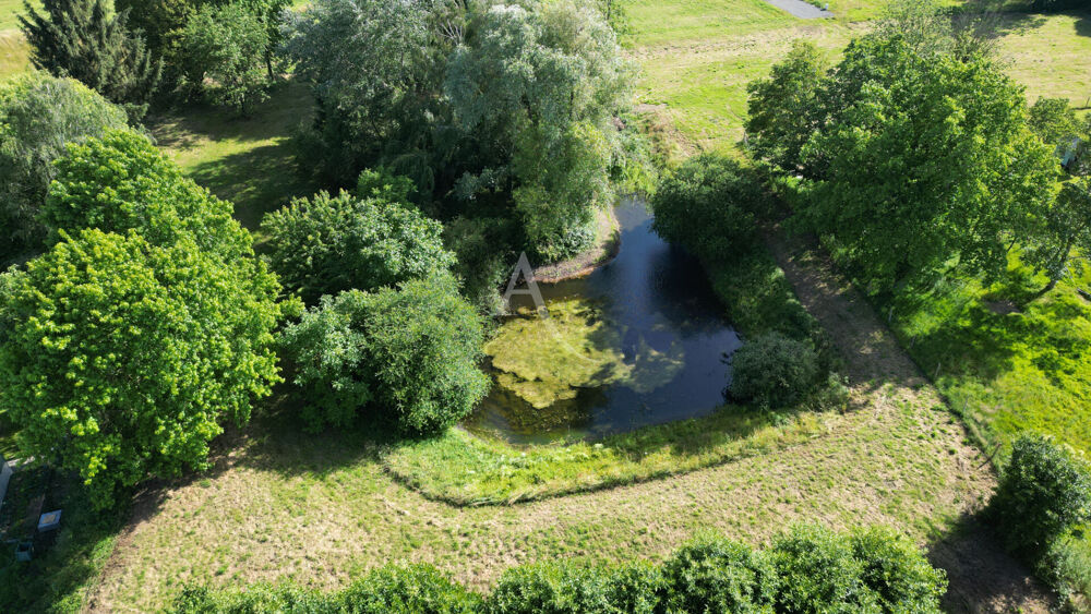 Vente Terrain Terrain Constructible  non viabilisé avec étang Prée D'Anjou 6772 m² Pree d'anjou