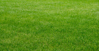  Terrain � vendre 1390 m�