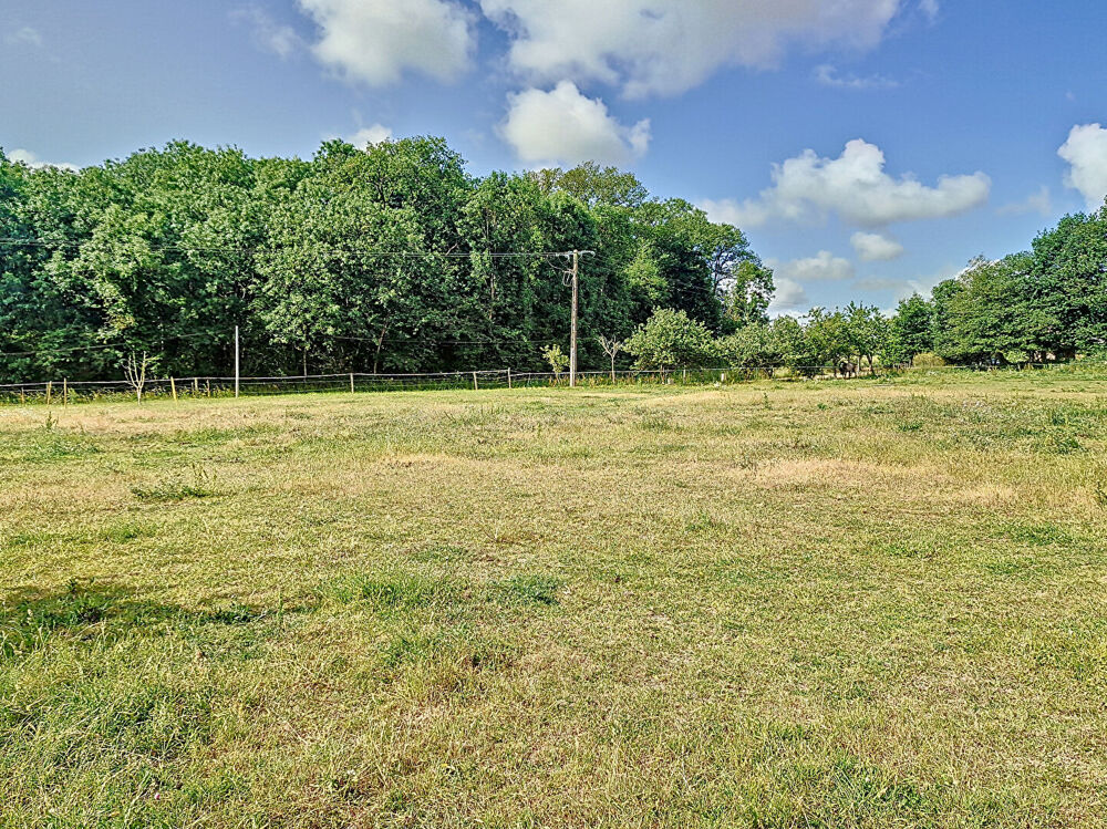 Vente Terrain Terrain Campeneac 1644 m2 Campeneac