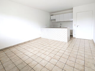  Appartement à louer 1 pièce 24 m²