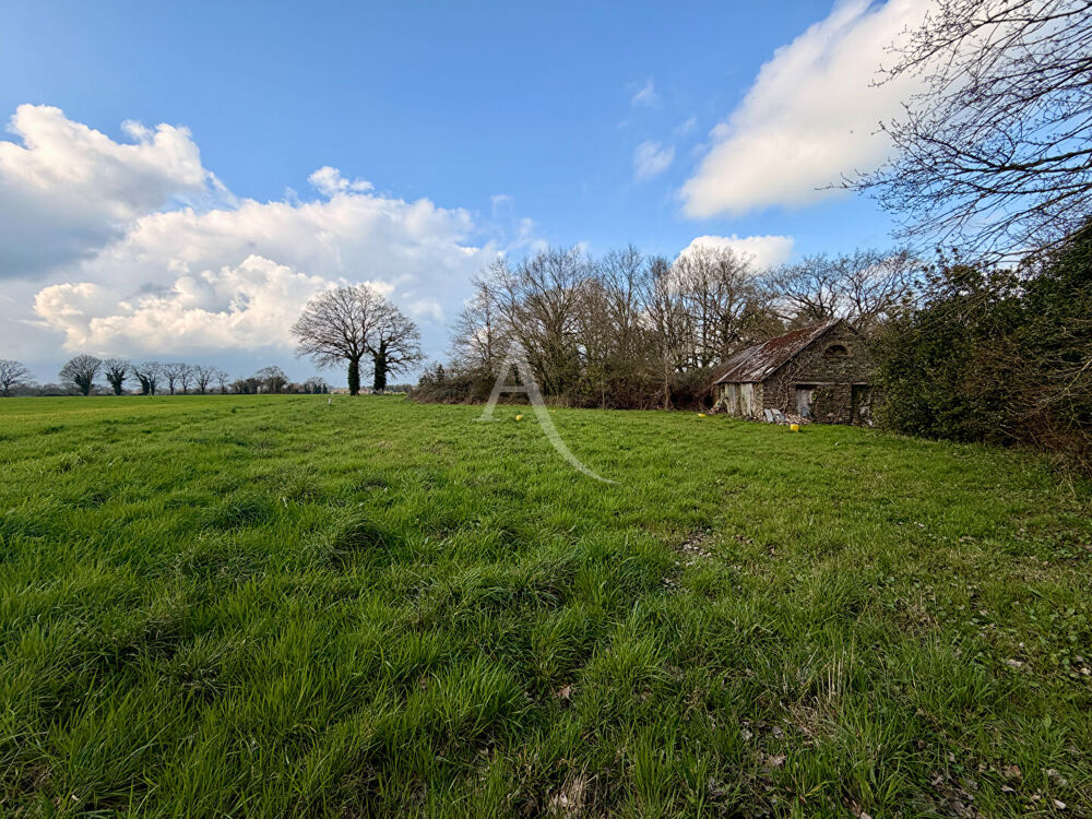 Terrain 584 m2