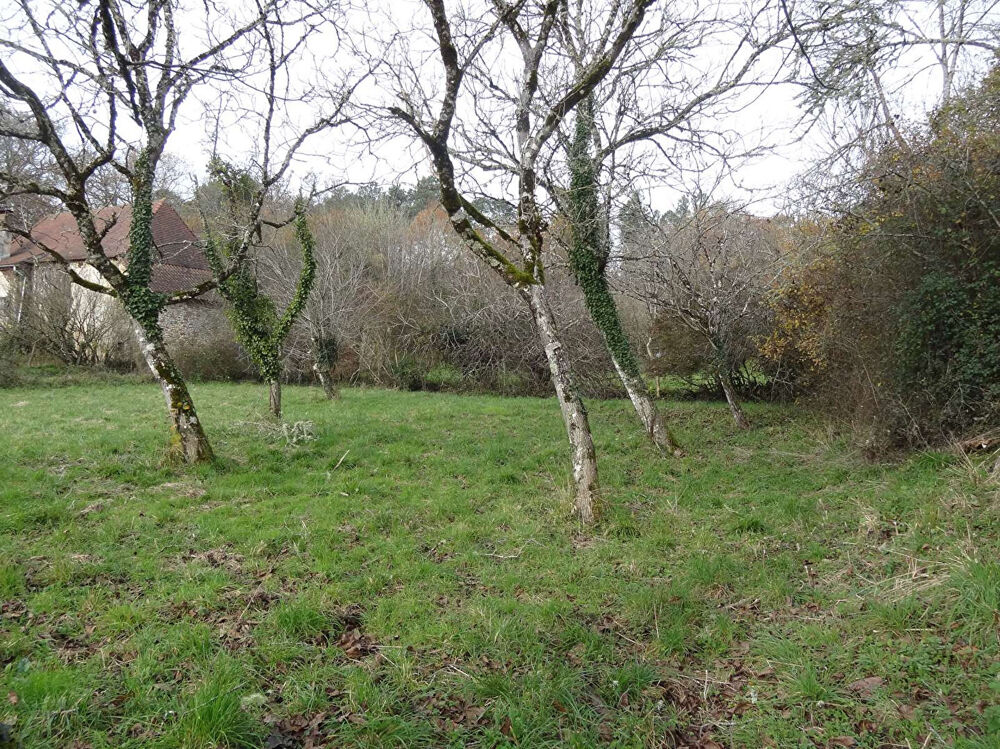 Grange Saint Jean D'Estissac 69 m2