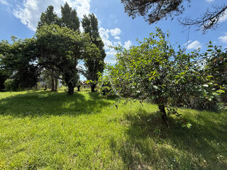  Terrain à vendre 392 m²
