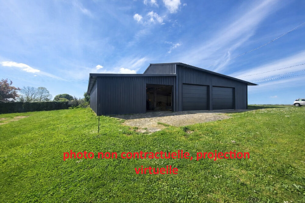 Vente Parking/Garage HANGAR sur PARCELLE de 1500 m² Chatillon sur chalaronne