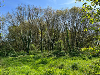  Maison  vendre 4 pices 140 m