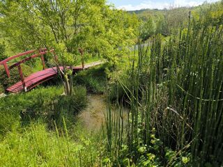  Villa � vendre 11 pi�ces 374 m�