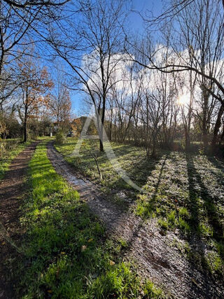  Maison � louer 4 pi�ces 123 m�