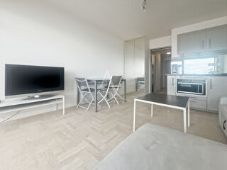  Appartement à louer 1 pièce 29 m²