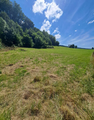  Terrain  vendre 3564 m