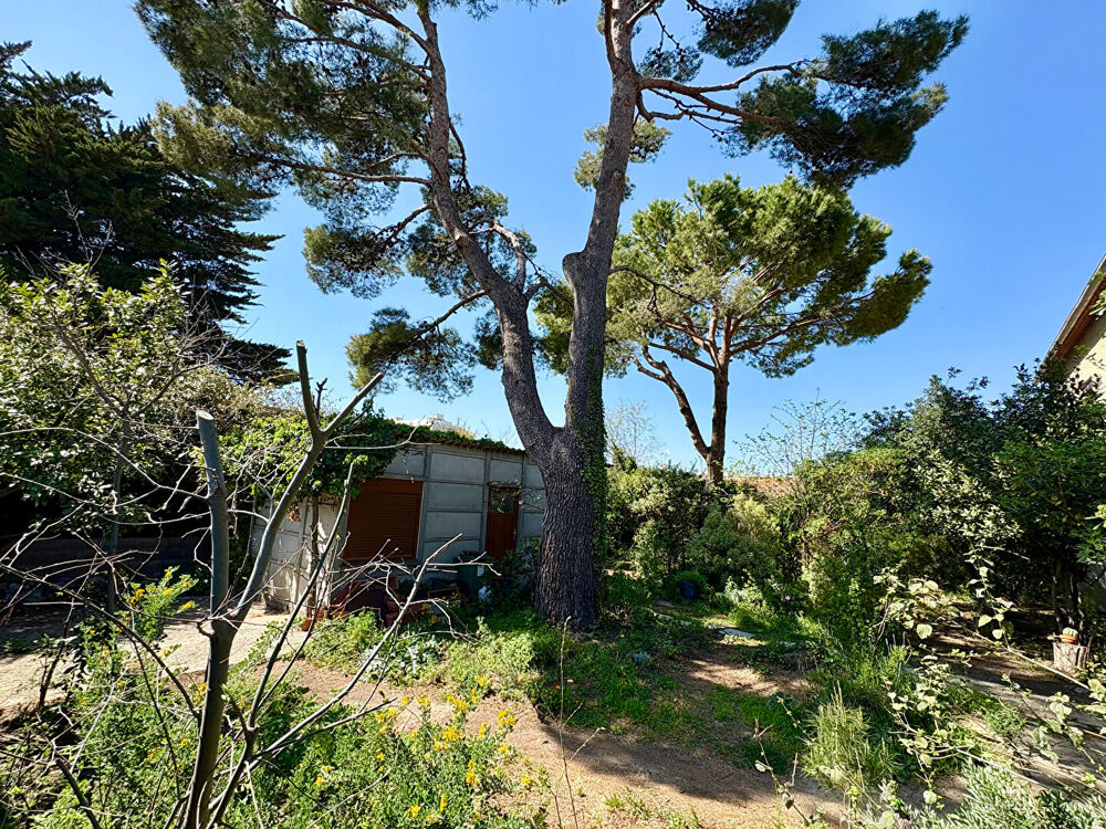 Vente Terrain Terrain viabilisé Sète 330 m² Sete