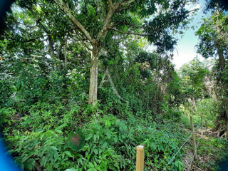  Terrain � vendre 1082 m�