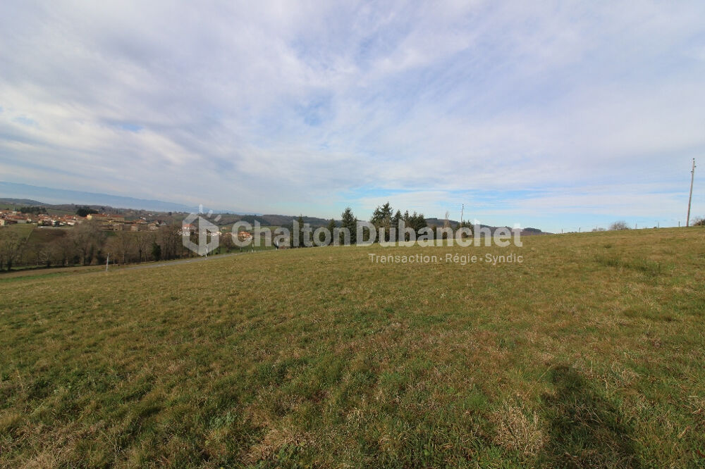 Vente Terrain MONTCHAL - Terrain viabilisé de 1240 m² Montchal