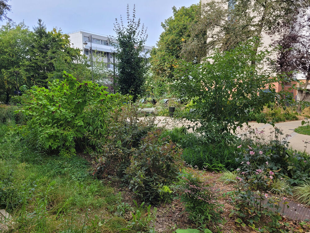 Vente Appartement Appartement Saint Germain En Laye 3 pièce(s) 70 m2 Saint germain en laye