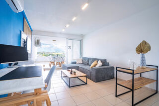  Appartement � vendre 2 pi�ces 46 m�