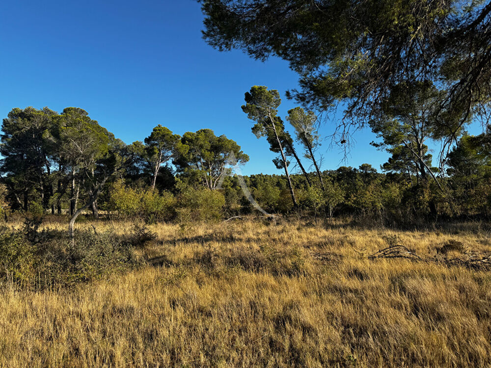 Vente Terrain Terrain avec vue imprenable Boutenac