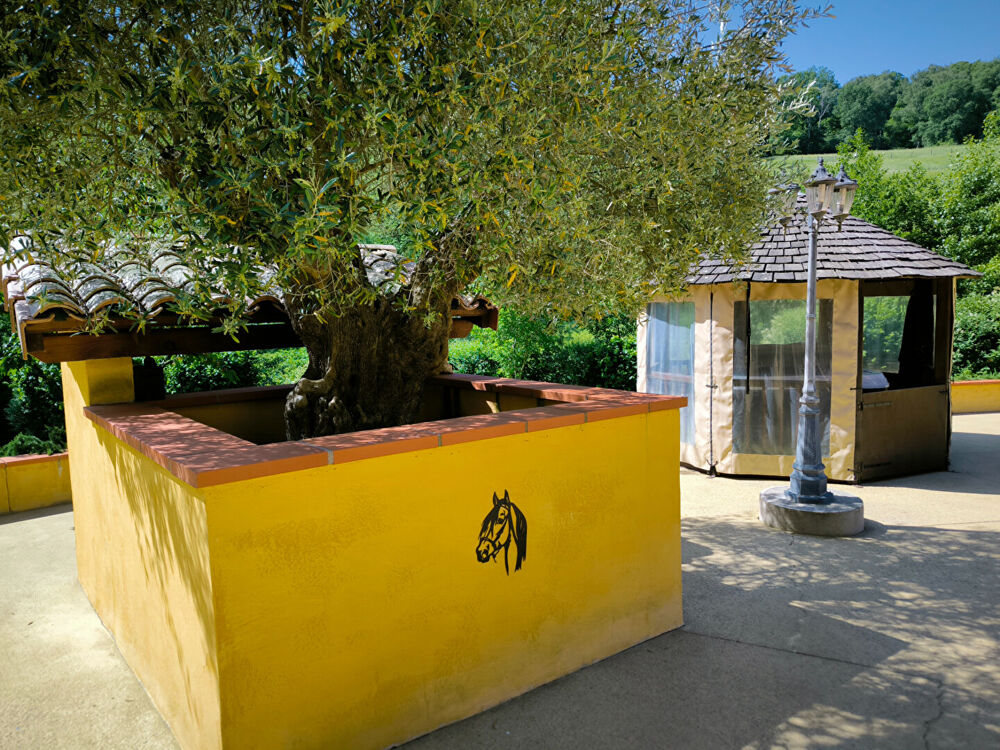 Vente Villa Ensemble immobilier de caractère dans un cadre bucolique Varilhes