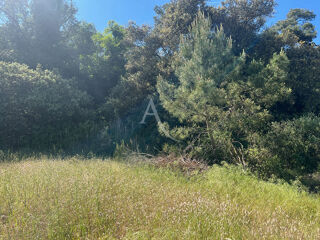  Terrain � vendre 375 m�