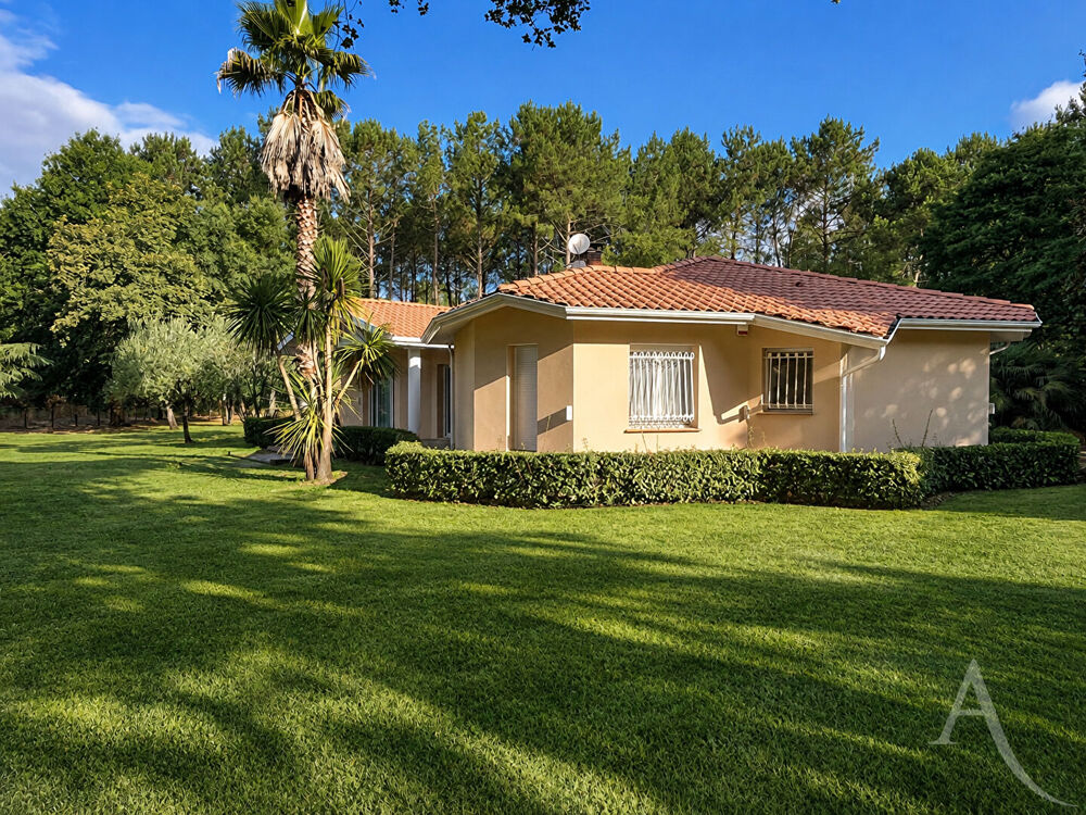 Vente Maison AZUR  Maison de 132 m² sur un parc de plus de 6 200 m² Azur