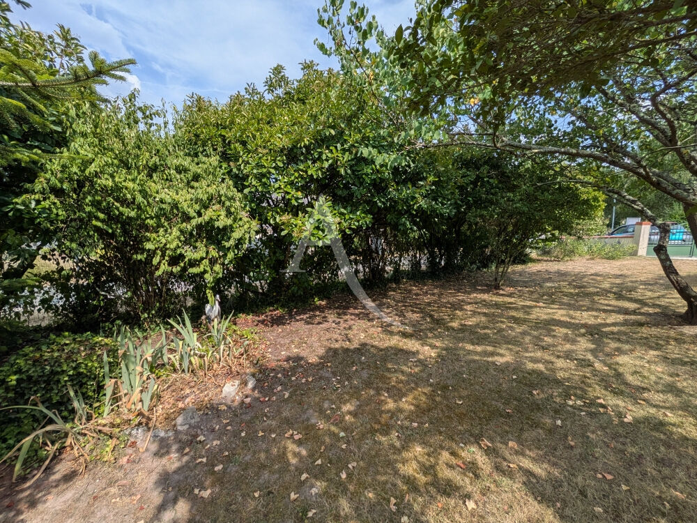 RILLY SUR LOIRE - 15 KMS D AMBOISE - 25 KMS DE BLOIS