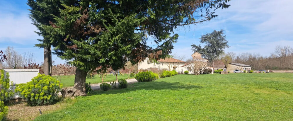 Vente Maison Maison Montauban 11 pièce(s) 366 m2 Montauban
