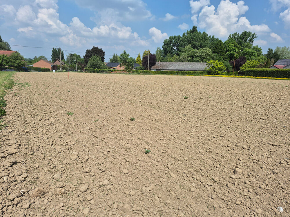 Vente Terrain Terrain Auchy Les Orchies 1521 m2 Auchy les orchies