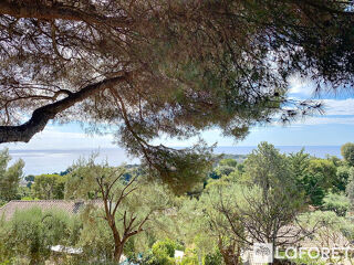  Terrain � vendre 2931 m�