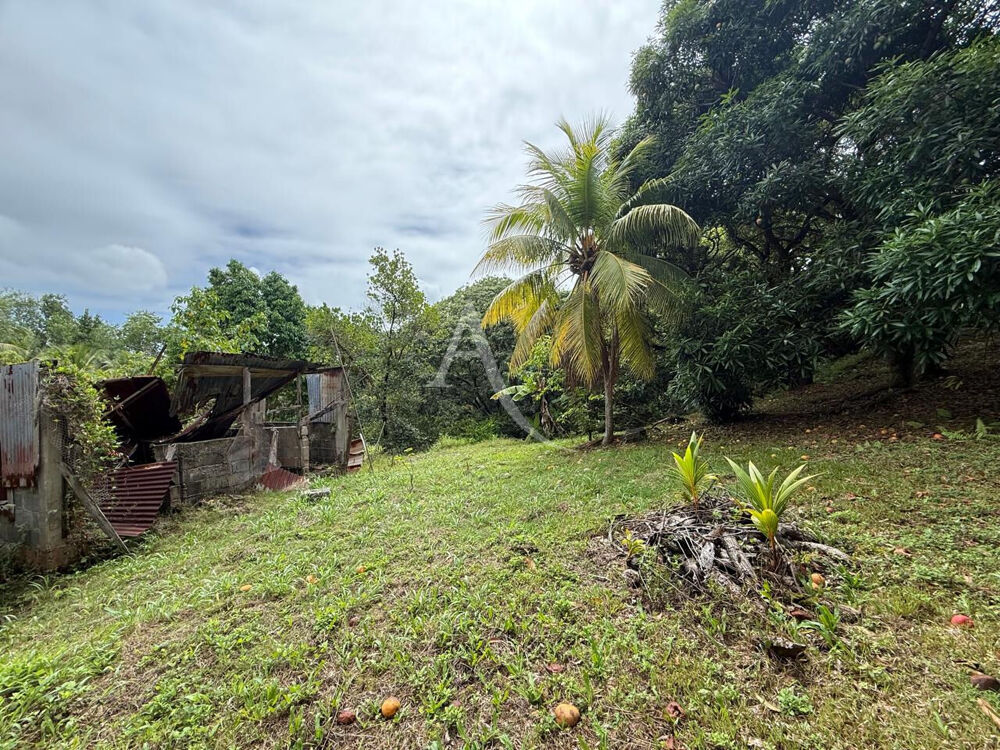 à vendre  Maison Petit-Bourg (97170)