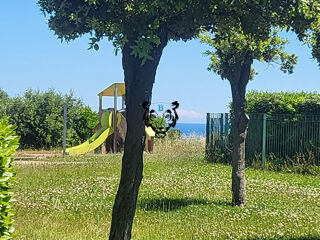  Appartement � vendre 3 pi�ces 43 m�