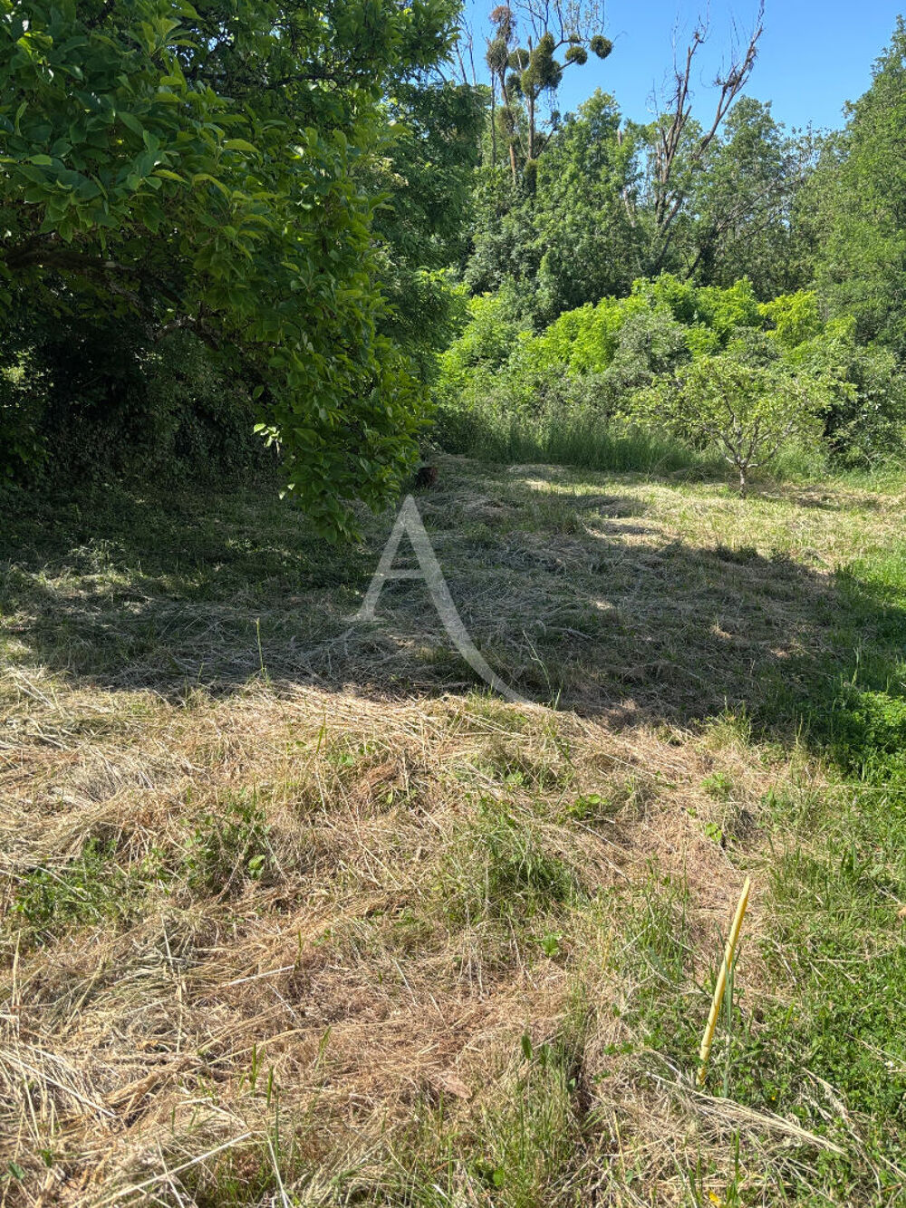 Vente Terrain Terrain à batirde  320 m2- Façade plus de 9 m -  Monthyon Monthyon