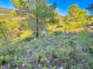  Terrain � vendre 13052 m�