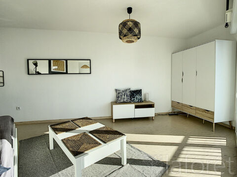  Appartement � louer 1 pi�ce 30 m�