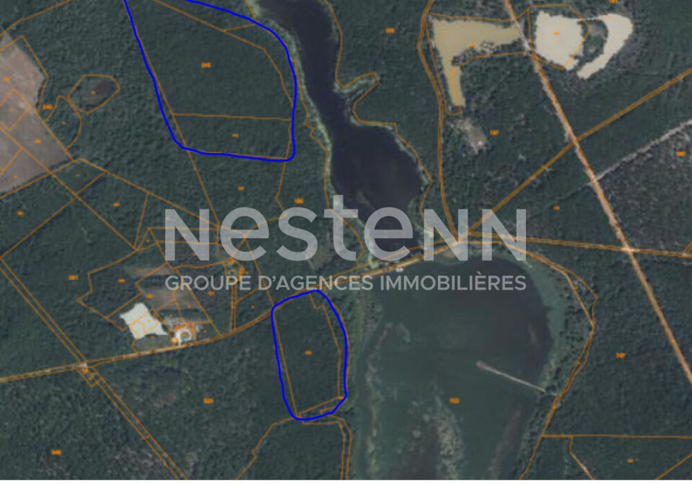 Vente Terrain RARE !! - 3 parcelles de bois en Sologne - Fontaine en Sologne - 119 780 m² Fontaines en sologne