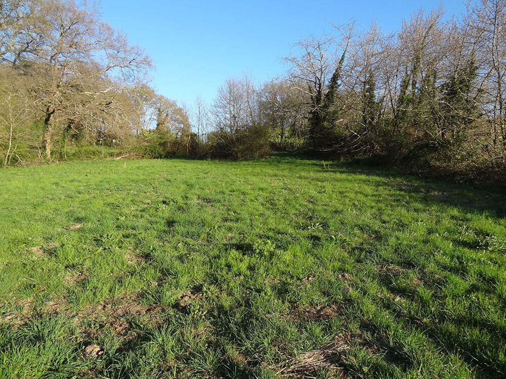 Vente Terrain Terrain Mussidan 1793 m2 Mussidan