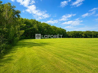  Terrain à vendre 45574 m²